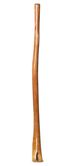 High Gloss Finish Didgeridoo (NW155)